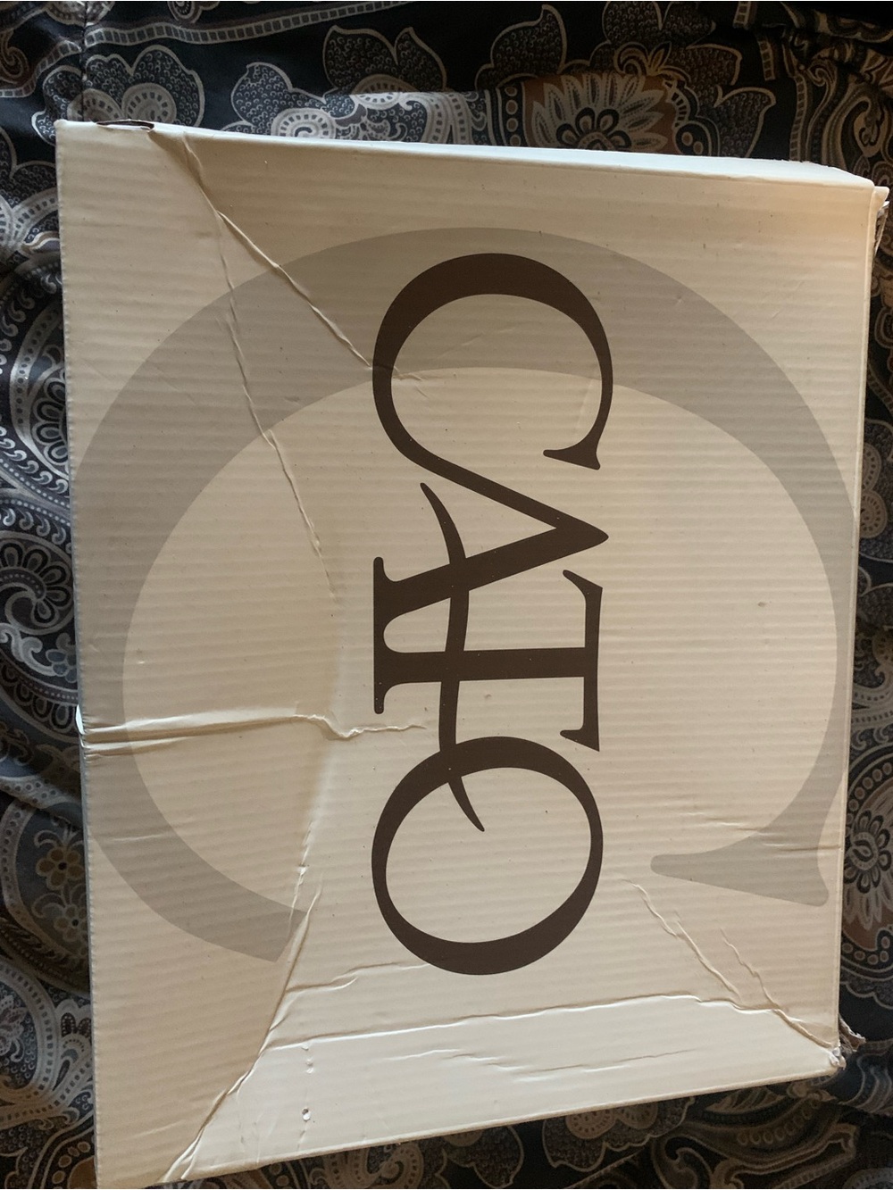 Cato Heeled Boots - Cream